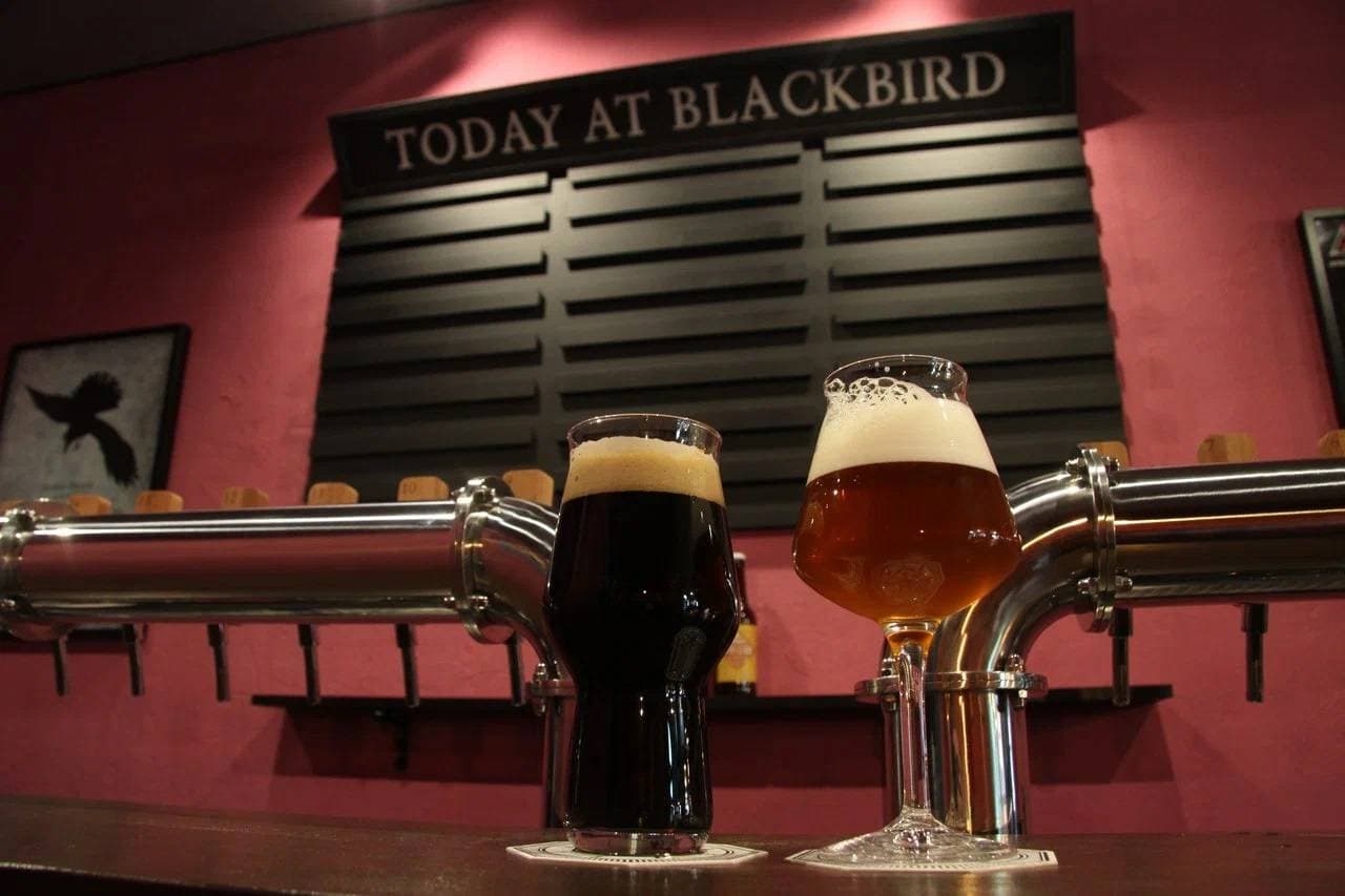 Blackbird