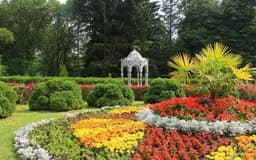 Центральный ботанический сад НАН Беларуси
