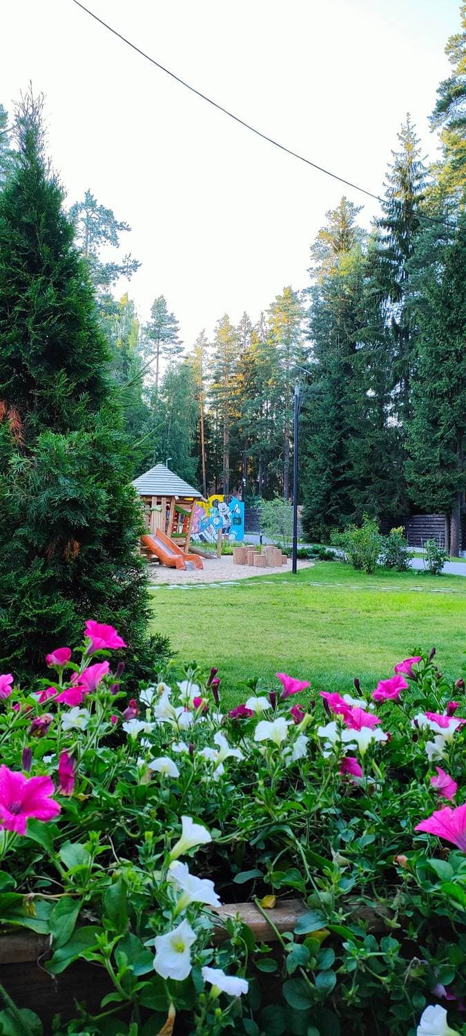 Shishkin cafe