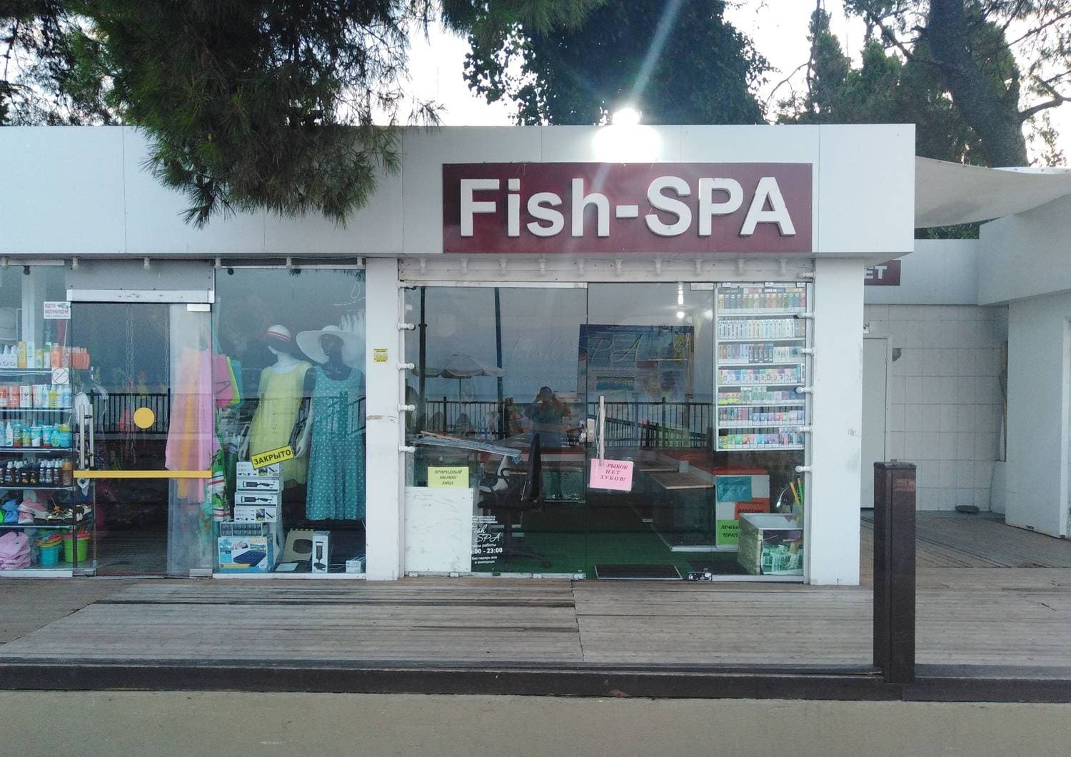 Fish spa