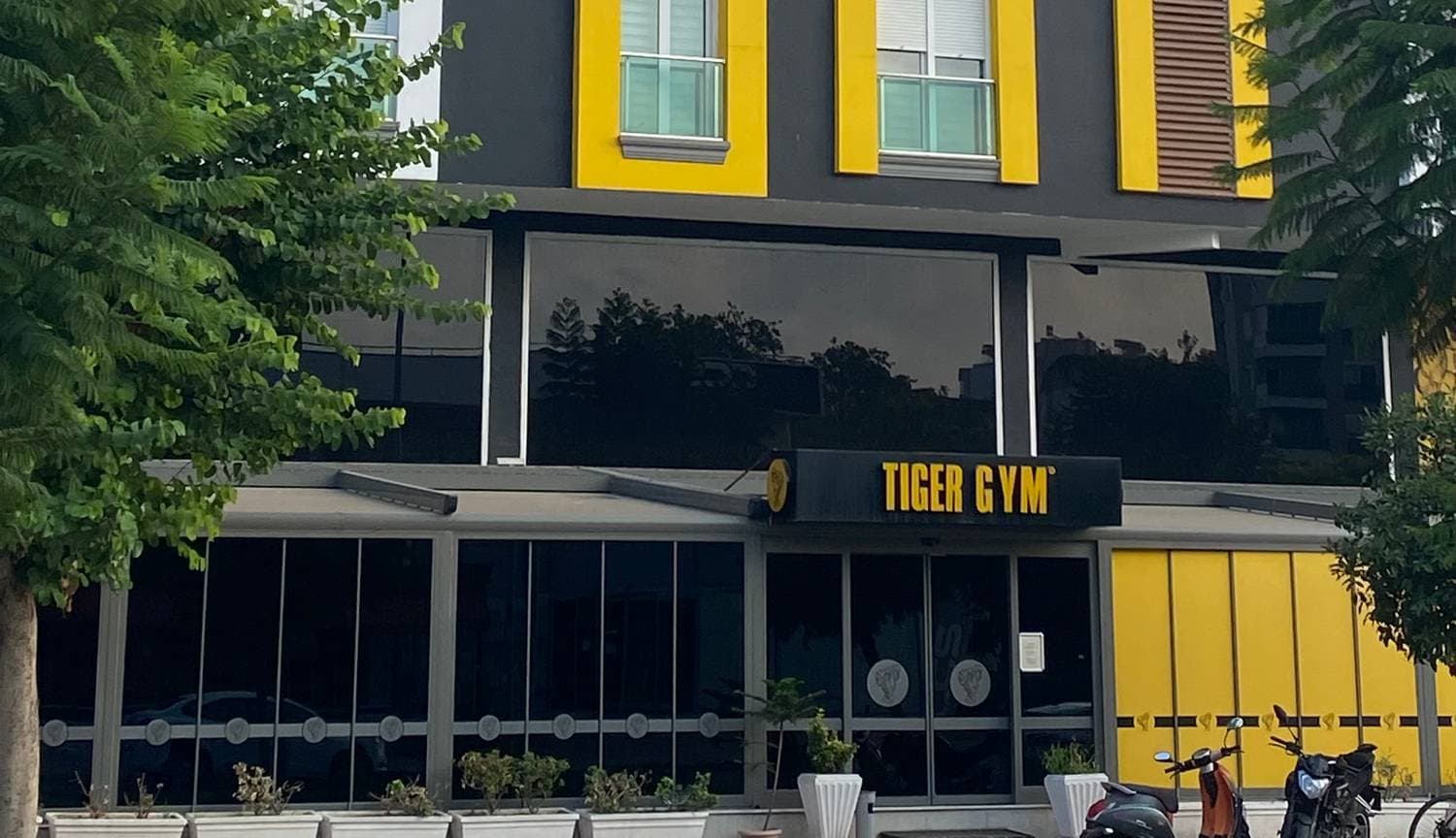 Tiger Gym