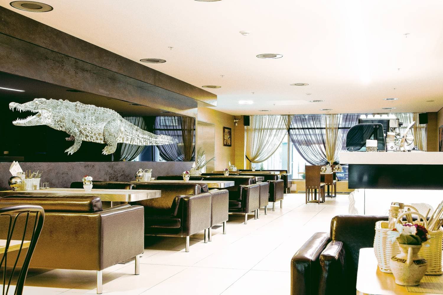 LOBBY BAR Senator