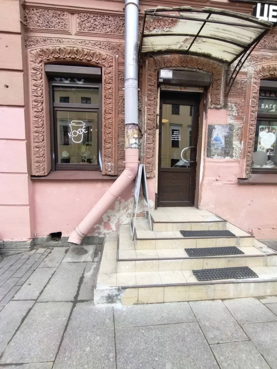 Тюльпан