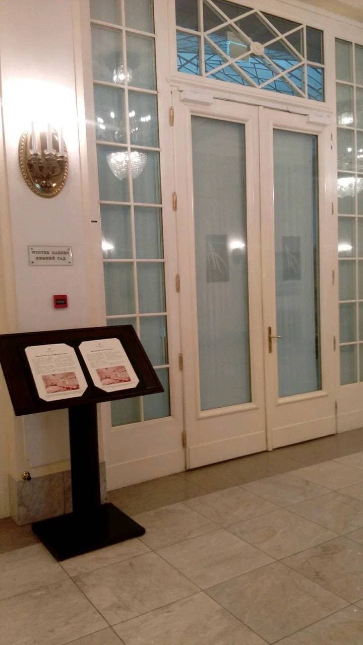 Зимний сад