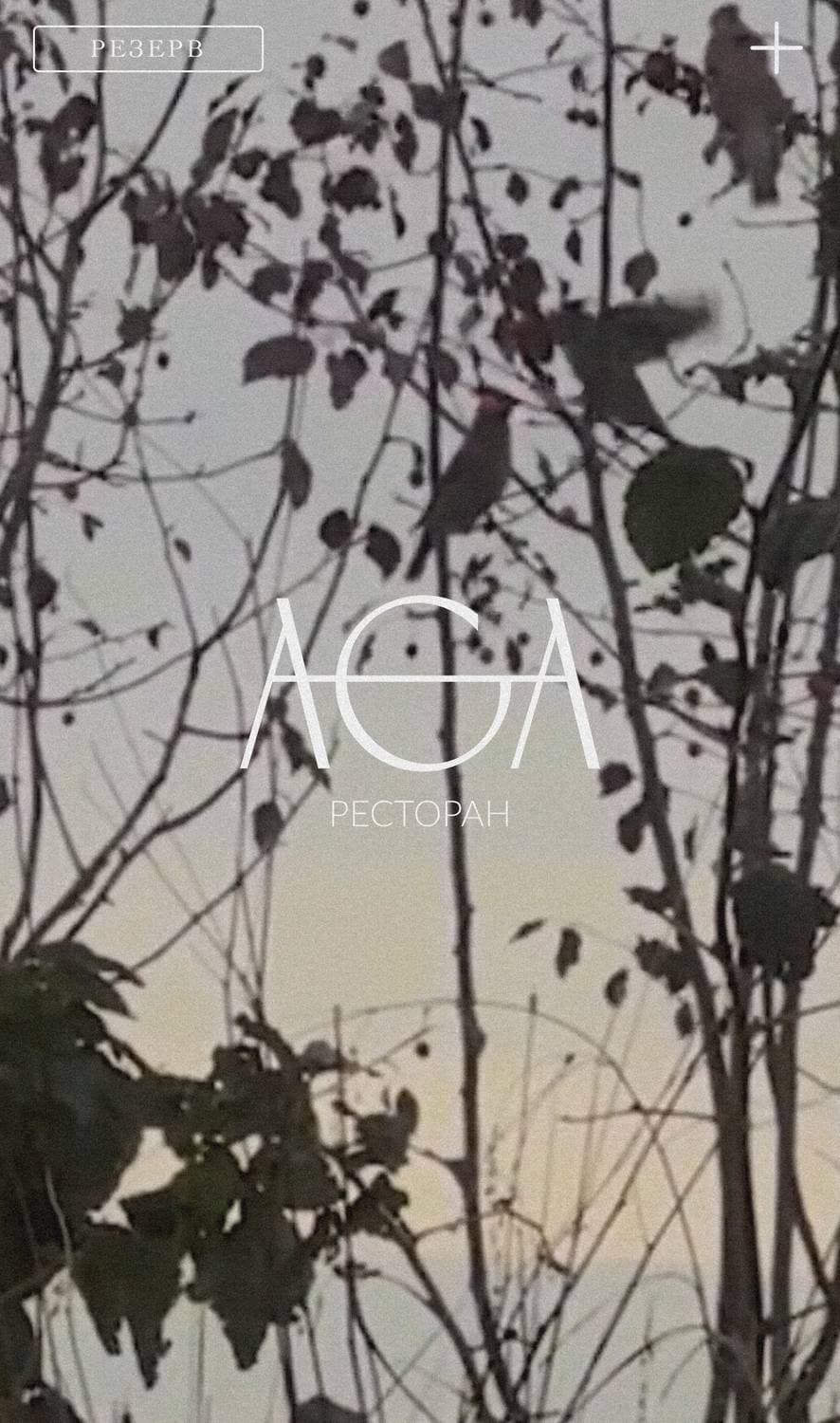 AGA rest