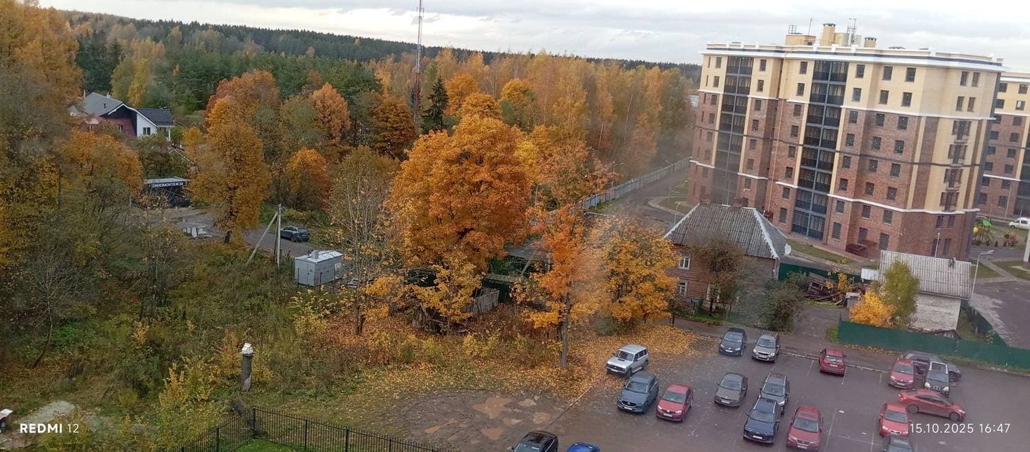 перинатальный центр