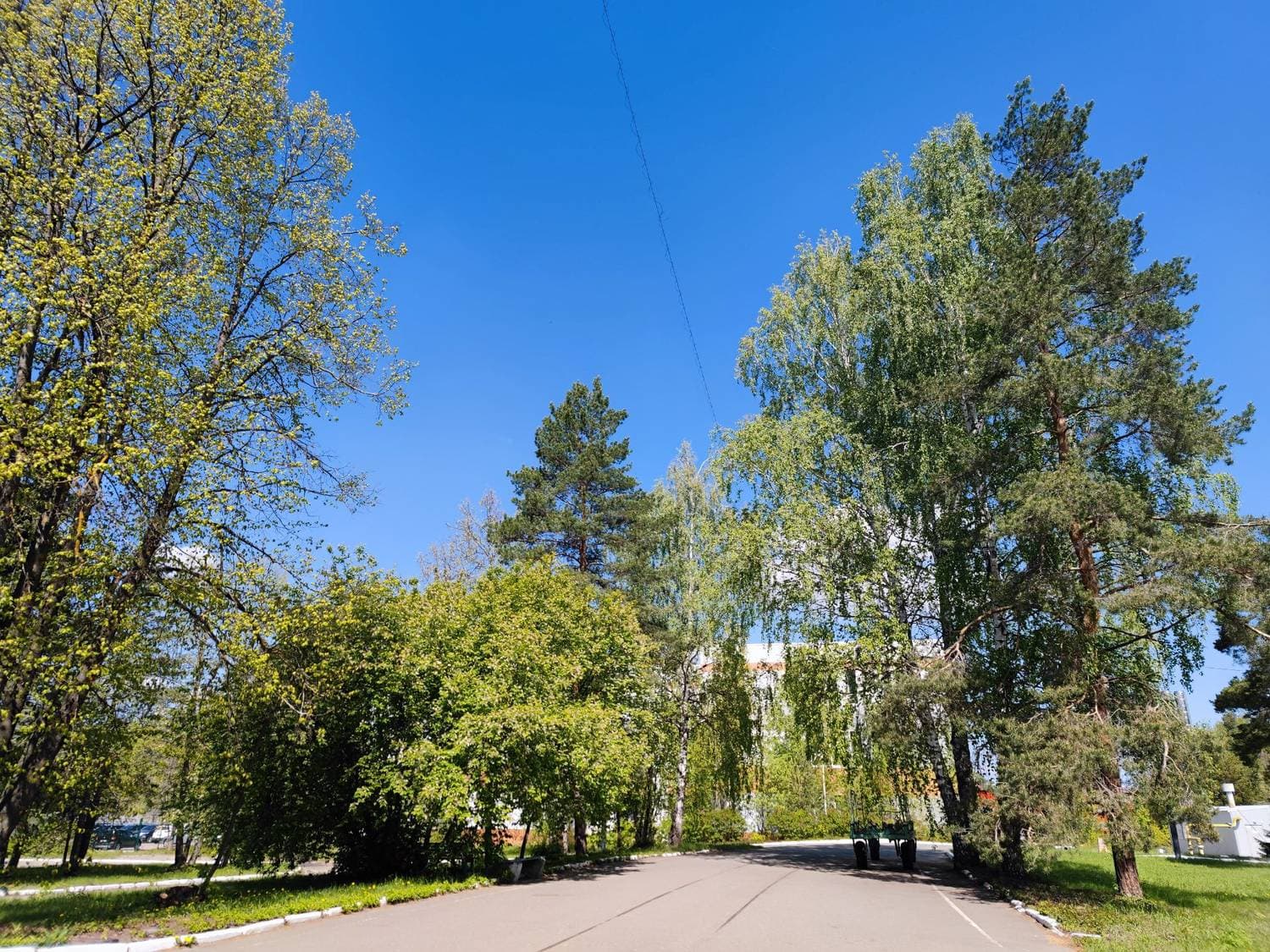 #весна #май
