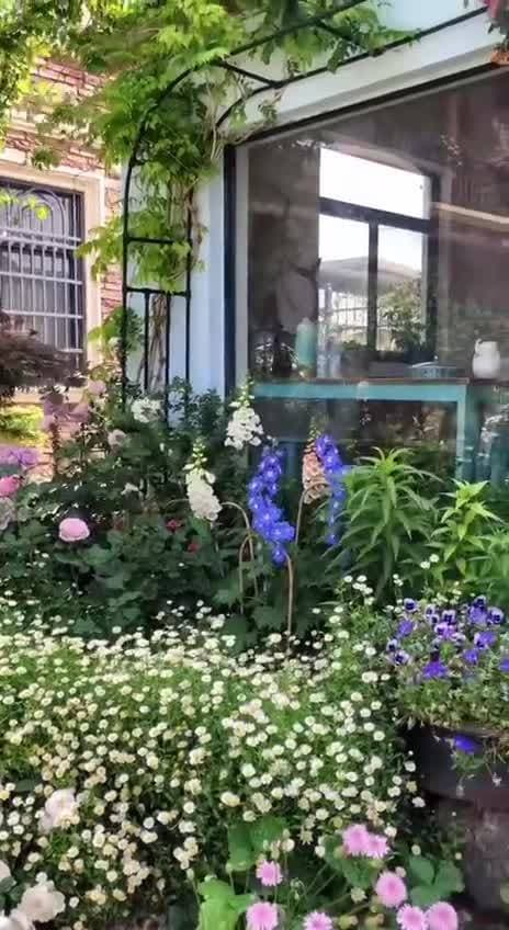 красота 💐