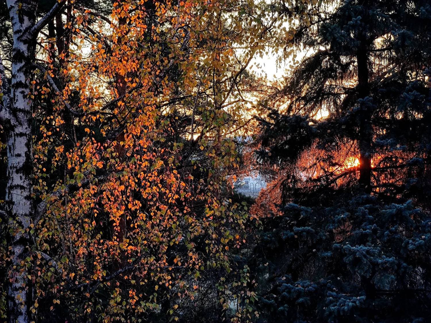 ☀️🍂