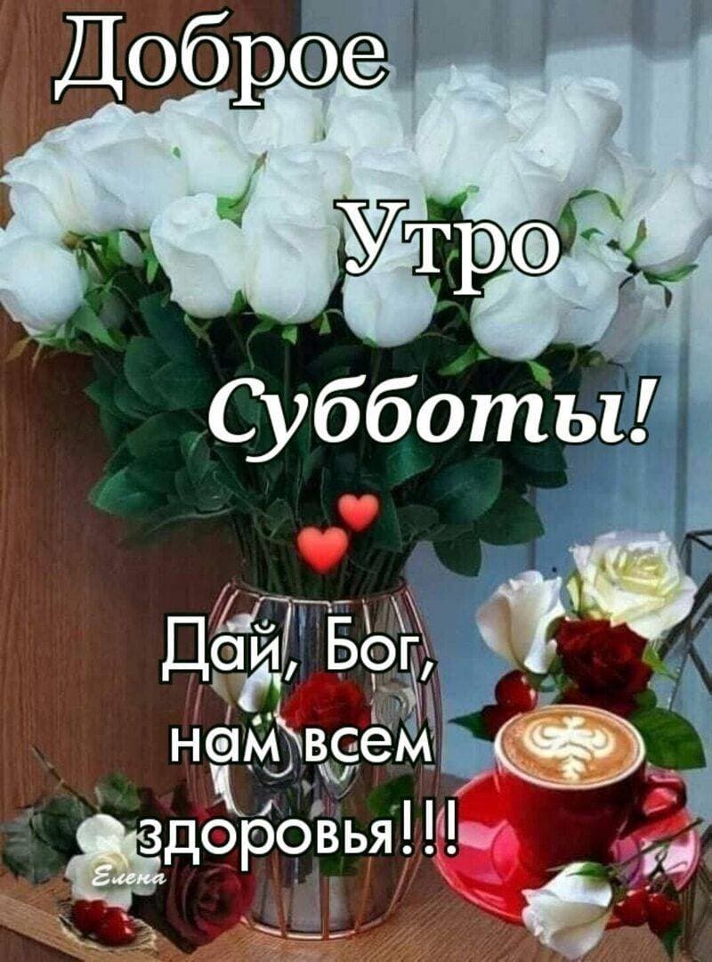 Друзья! Хорошего субботнего дня!☕
