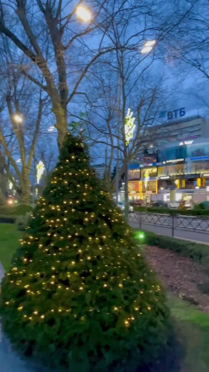 🎄✨