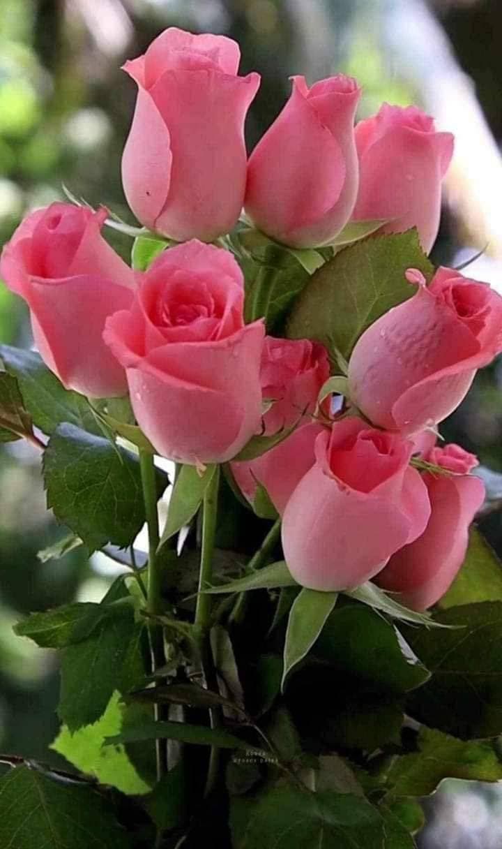 💐