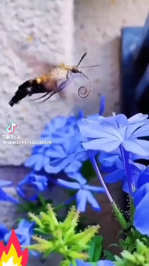 красота ❤️