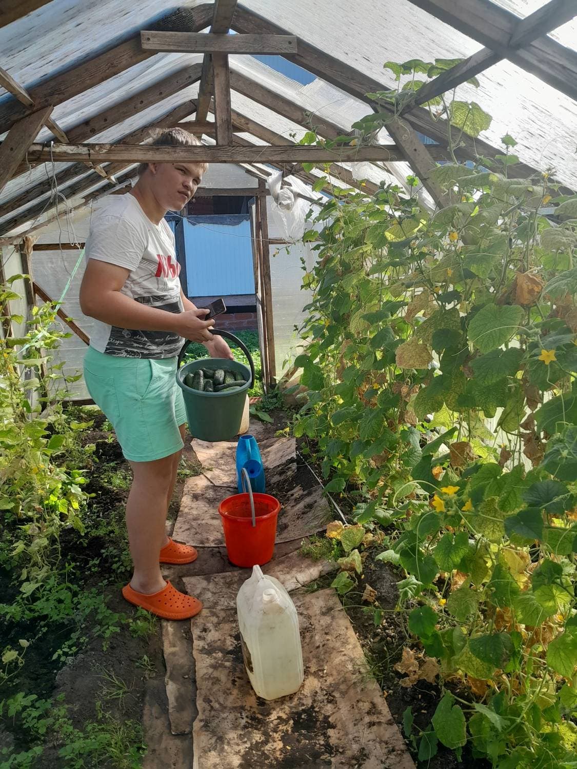 Осенняя дачуля-сентябрь. Дачный сезон 🏡❤️☀️2️⃣0️⃣2️⃣4️⃣.