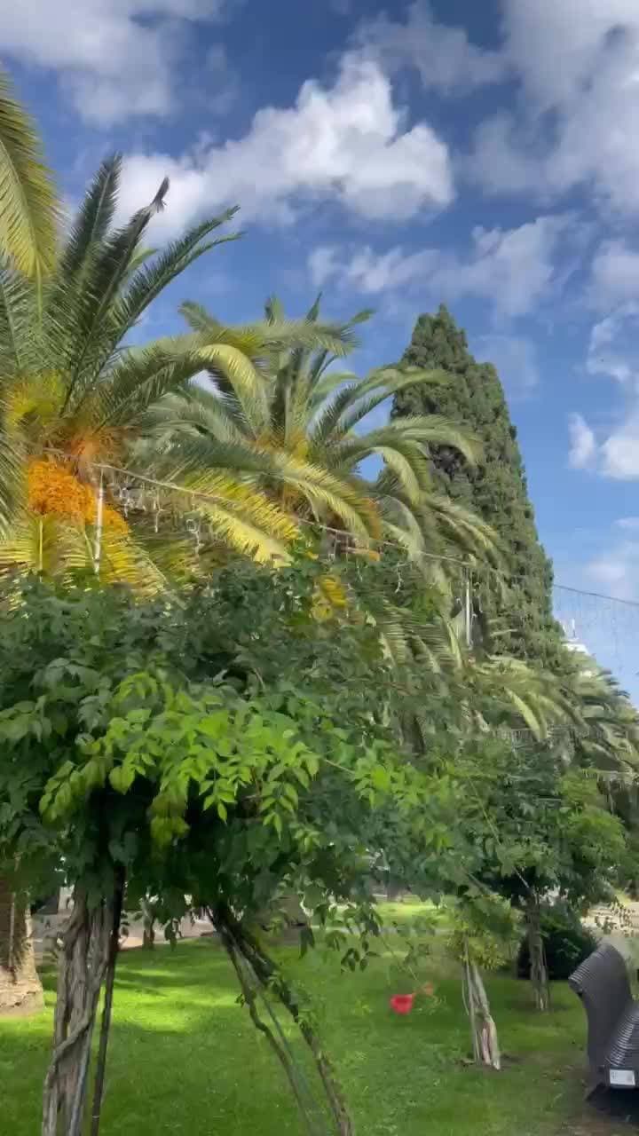 🌴