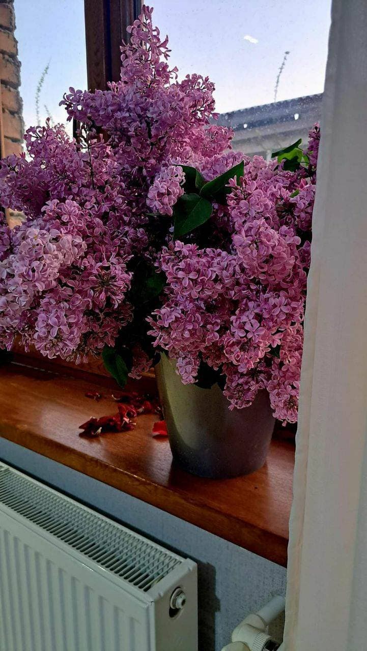 💐