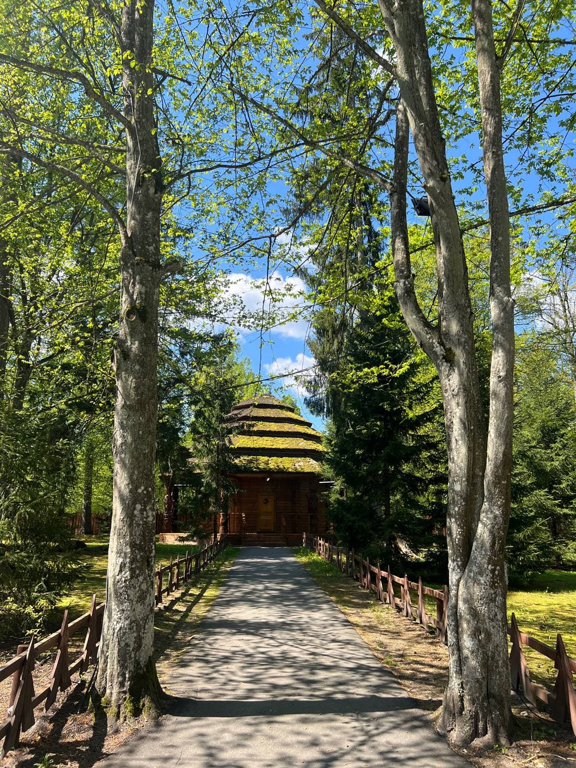 📍Беловежская пуща