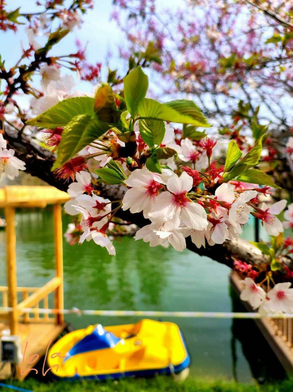 весна 💐