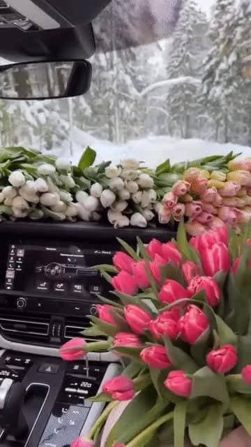 ♥