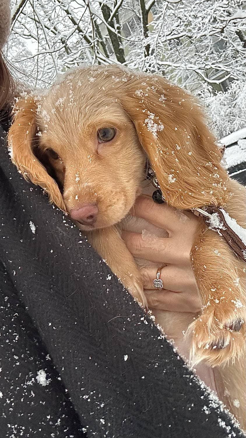 Первый снег❄️