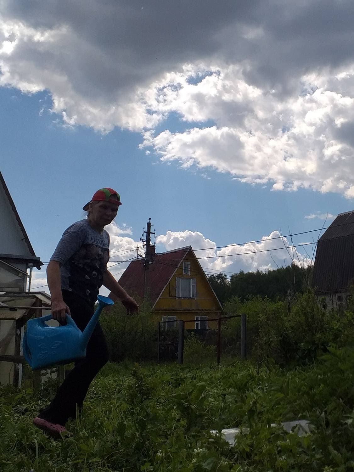 ДАЧУЛИН ВИРДИКТ: подлежит сезонному восстановлению👩‍🎓🥰🏡🦠🐛2️⃣0️⃣2️⃣4️⃣!