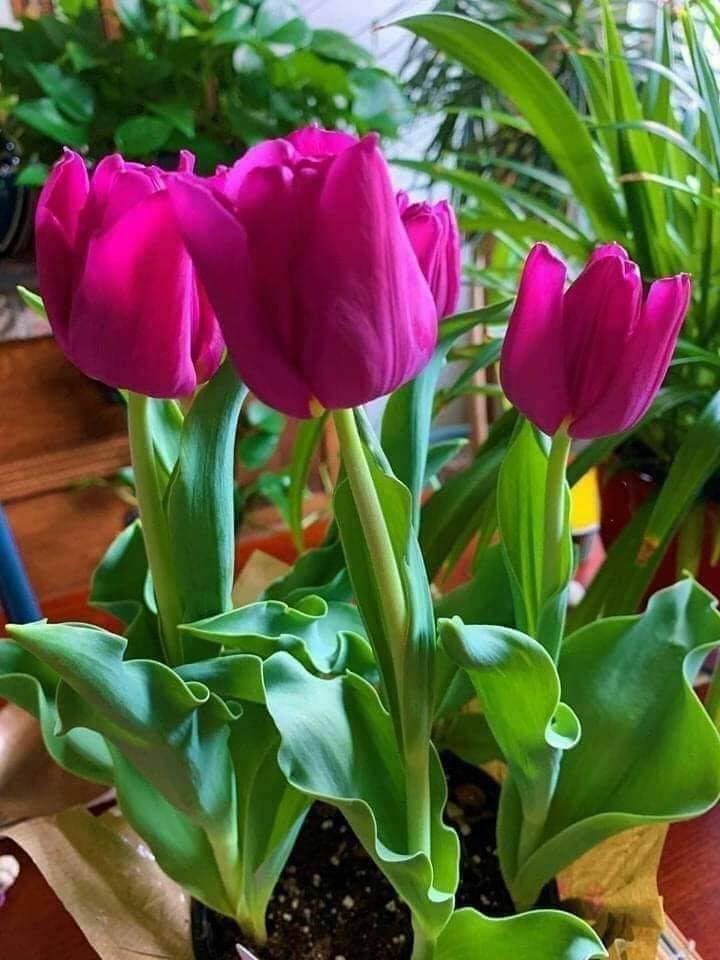 💐