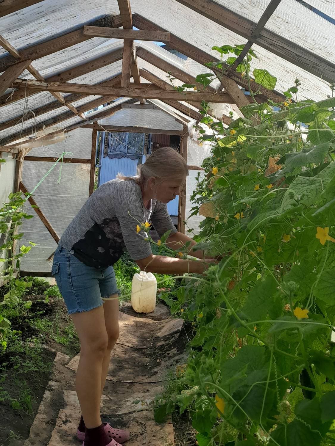 Осенняя дачуля-сентябрь. Дачный сезон 🏡❤️☀️2️⃣0️⃣2️⃣4️⃣.