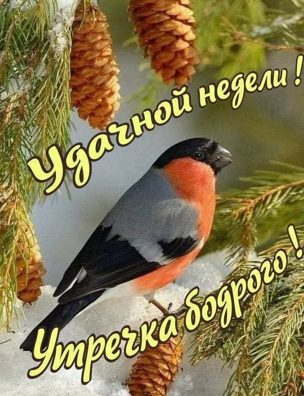 😍