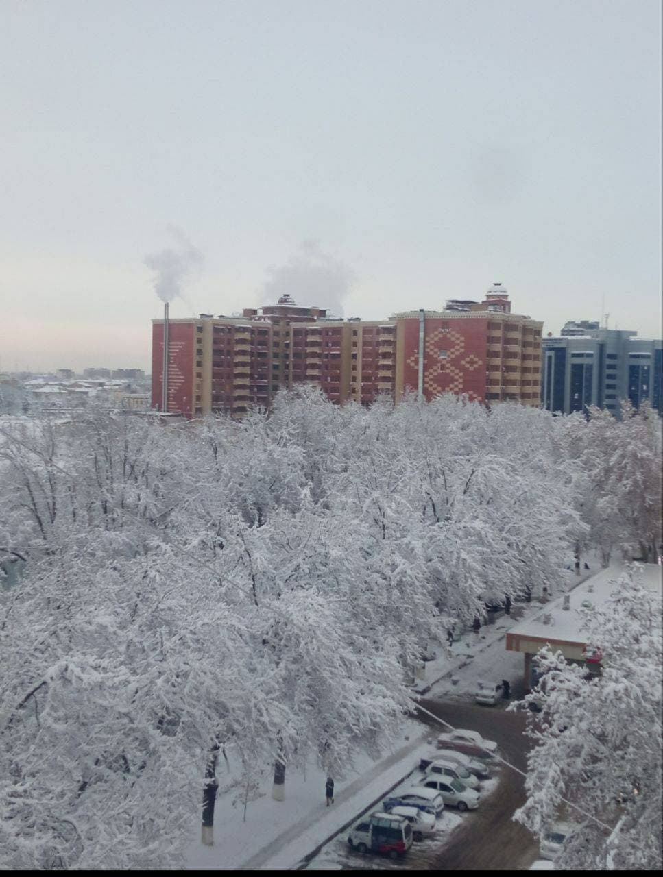 ❄️❄️❄️