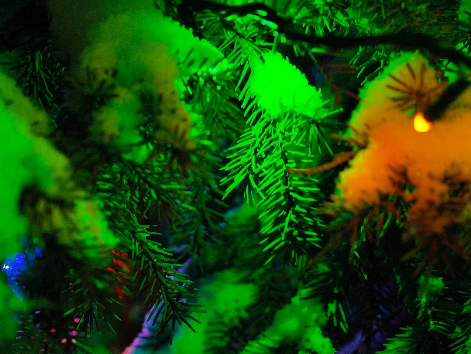 🎄❄️
