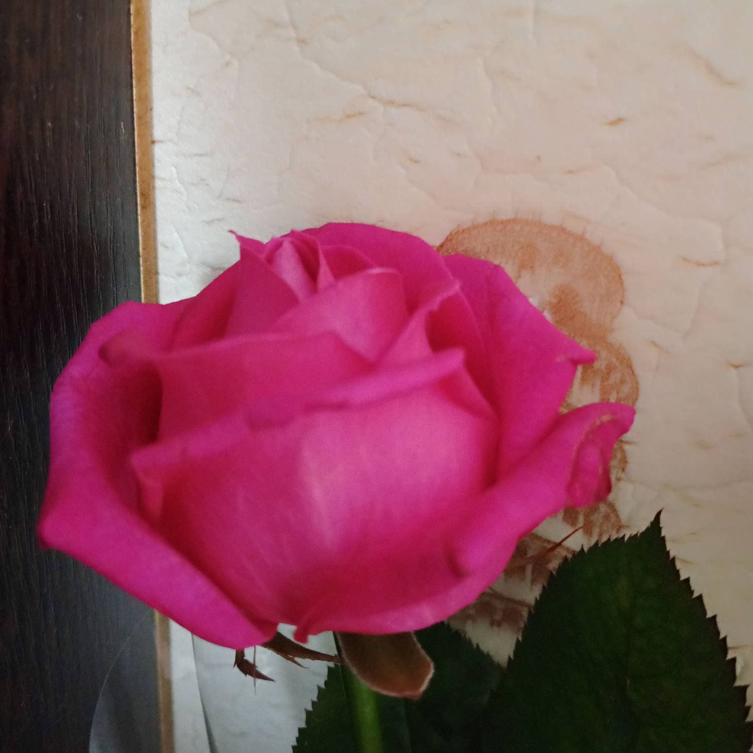 С праздником 💐