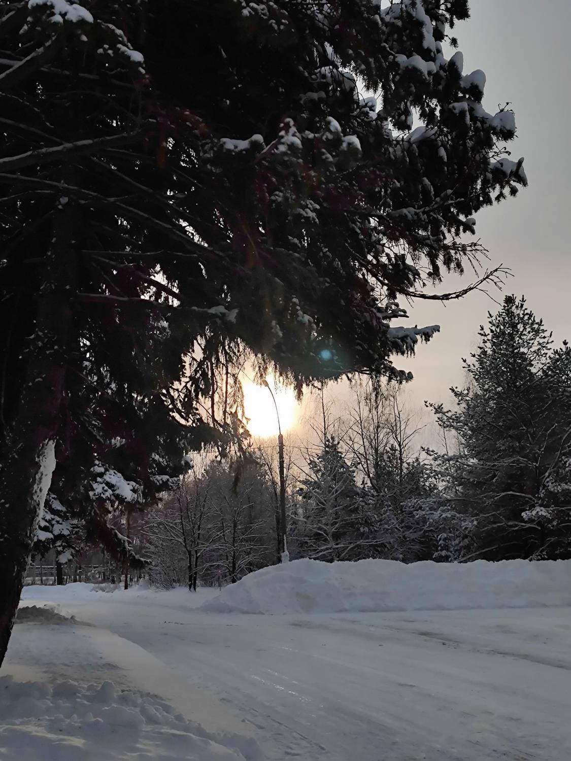 ❄️☀️