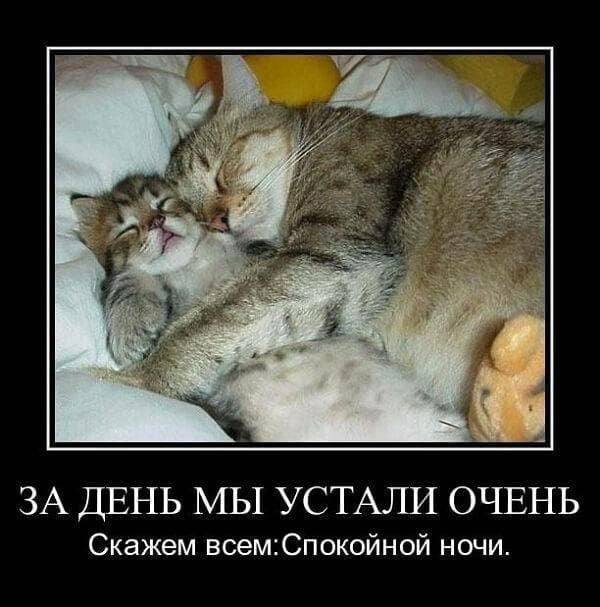 всем спокойной ночи ❤️