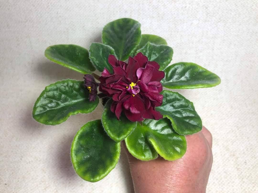 💐