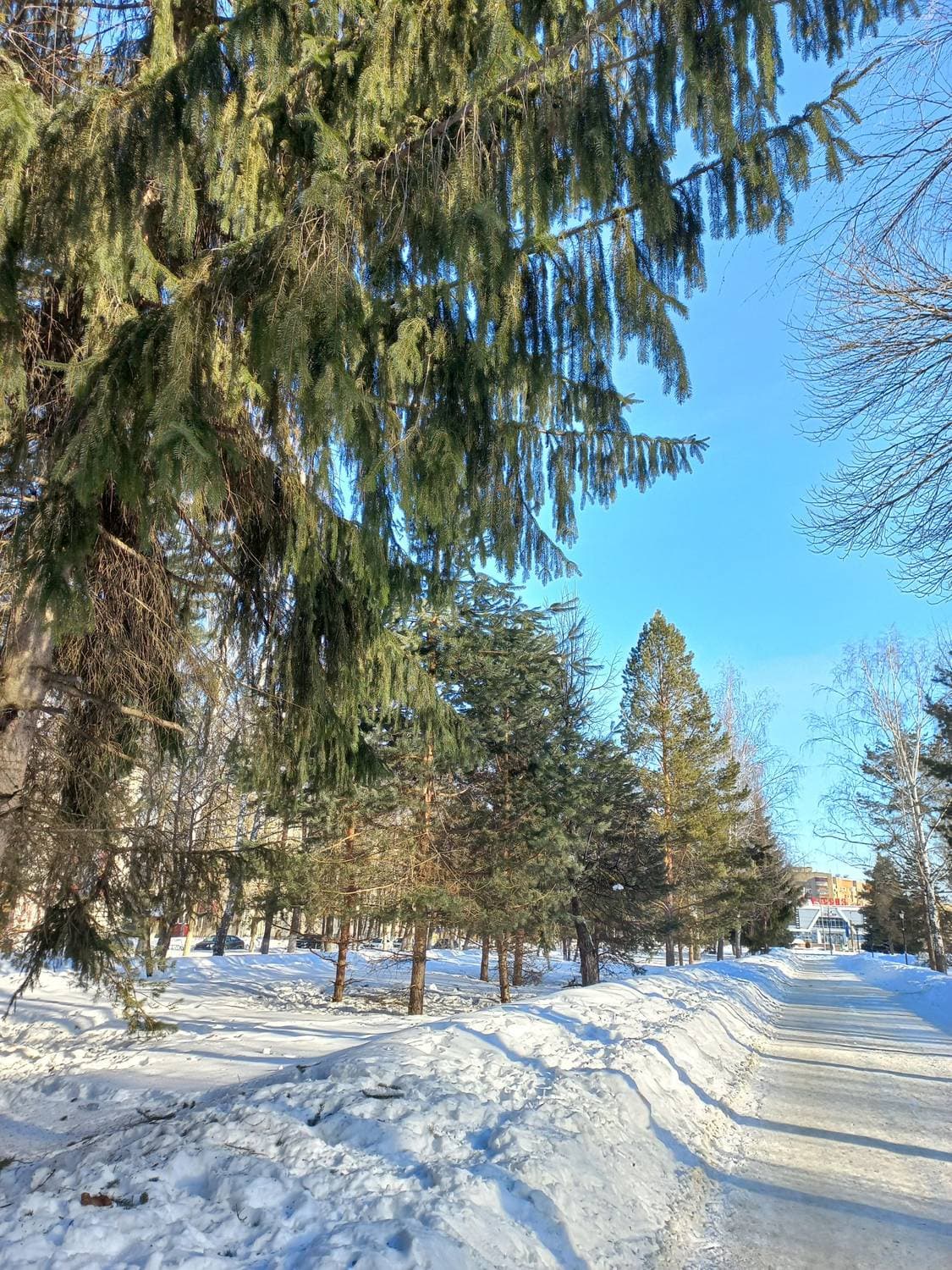 первые дни марта