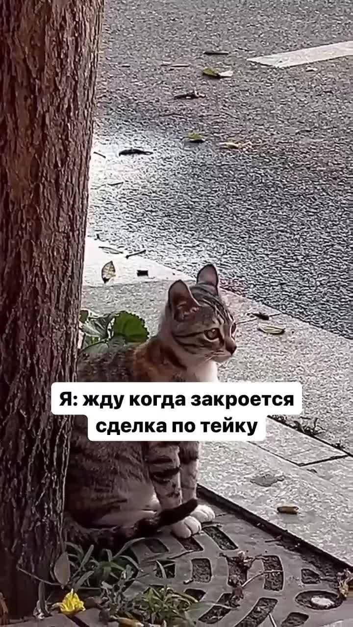 😂😂😂