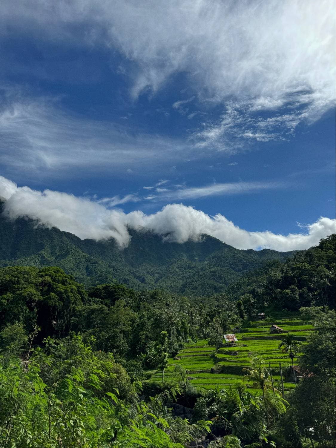 🇮🇩
