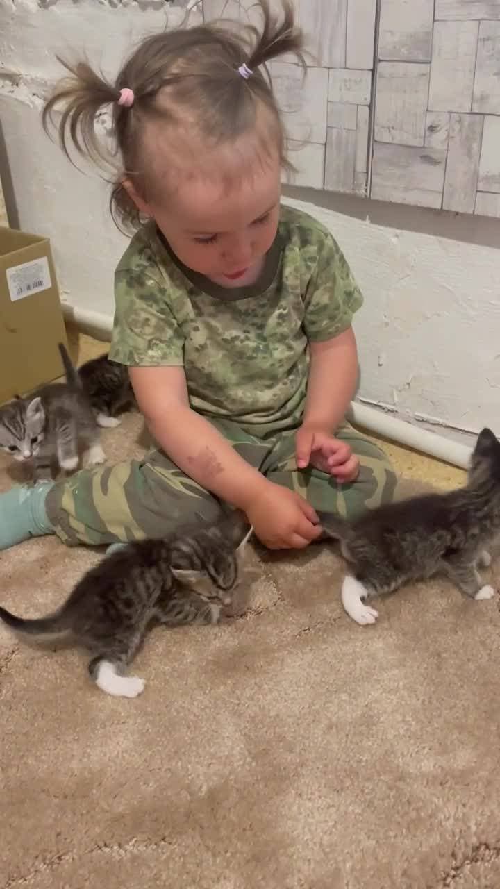 Наше пополнение 🤭 
#котята #дети