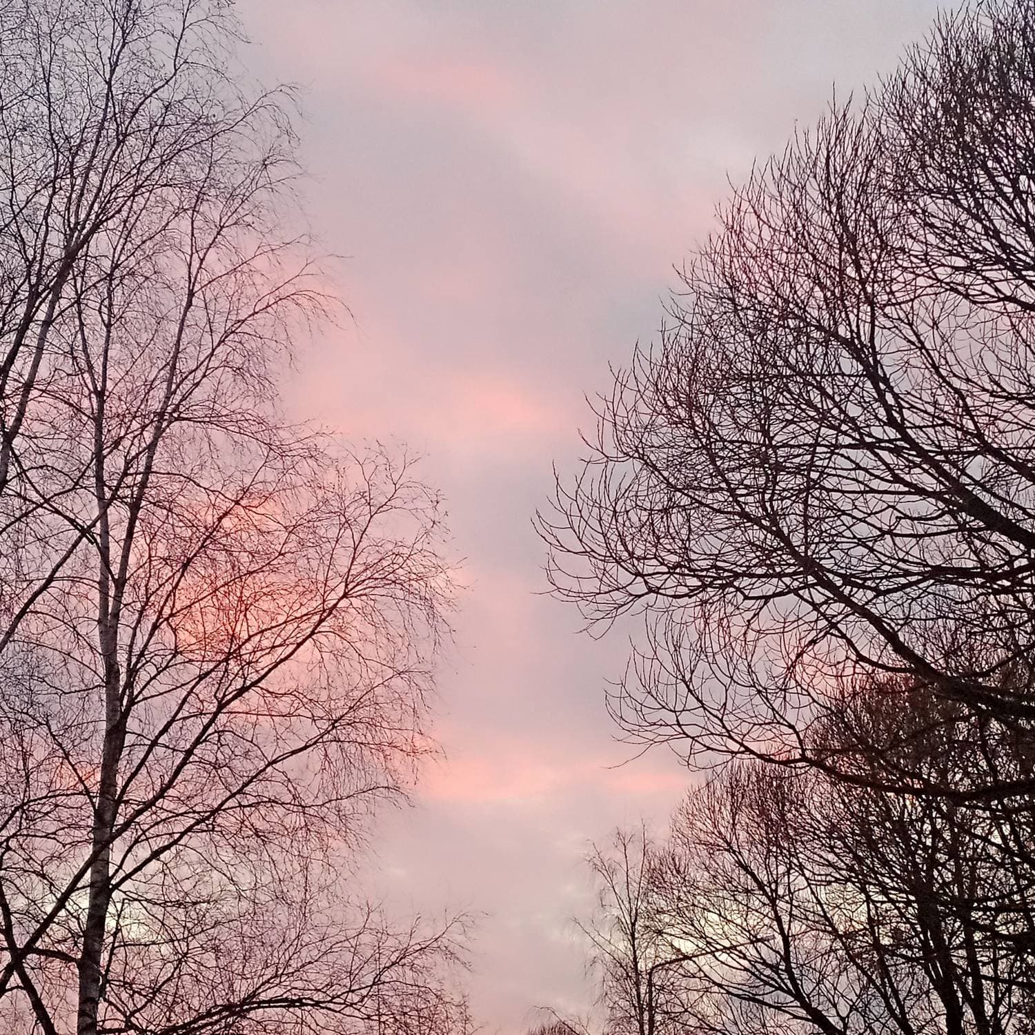 🌆