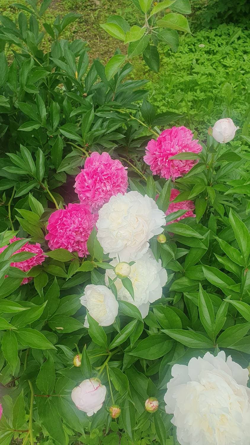 отличные выходные🌸