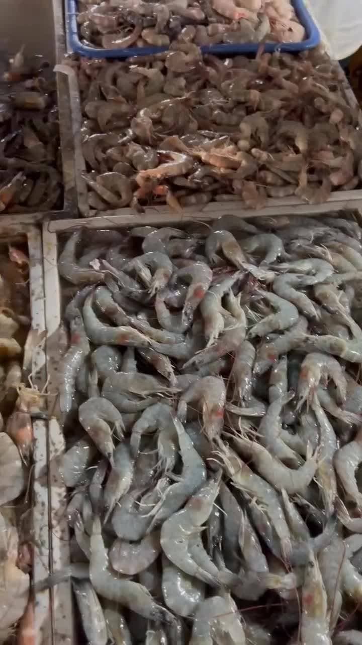 🦐