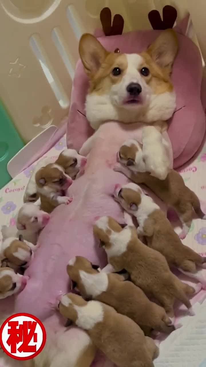 милая семья ❤️