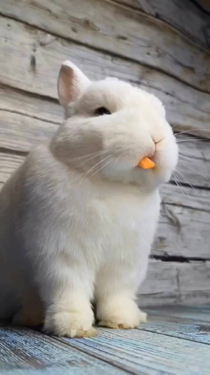 такие милые ❤️