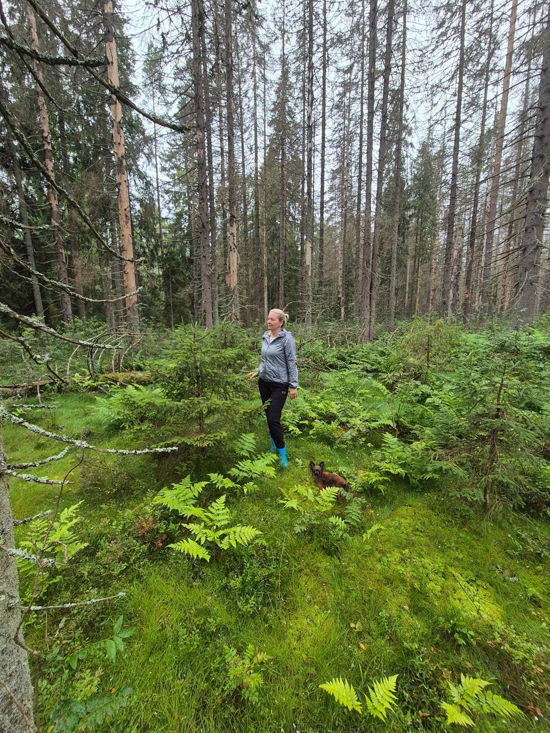 Лето🌿