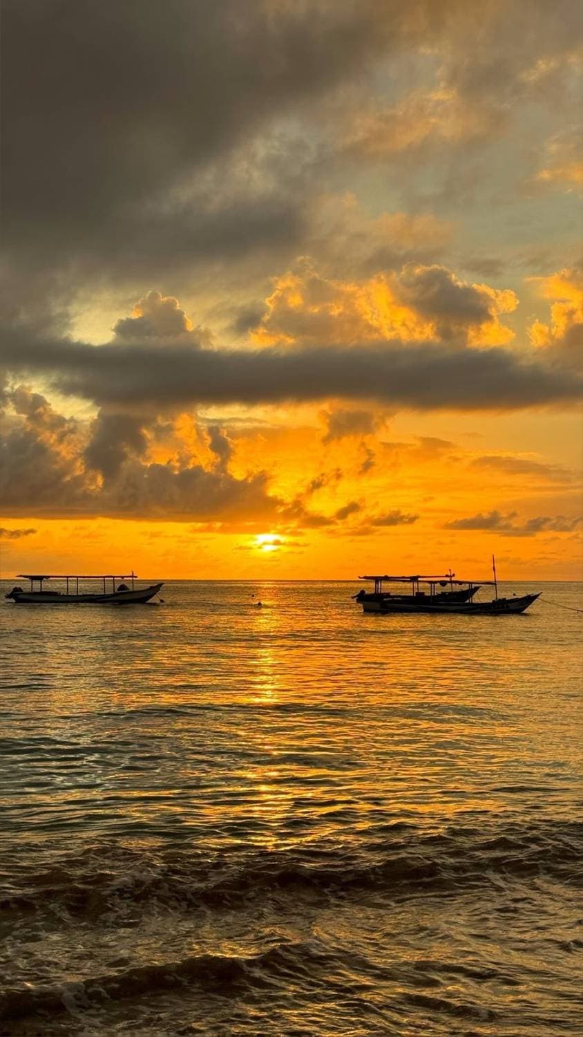 🇮🇩