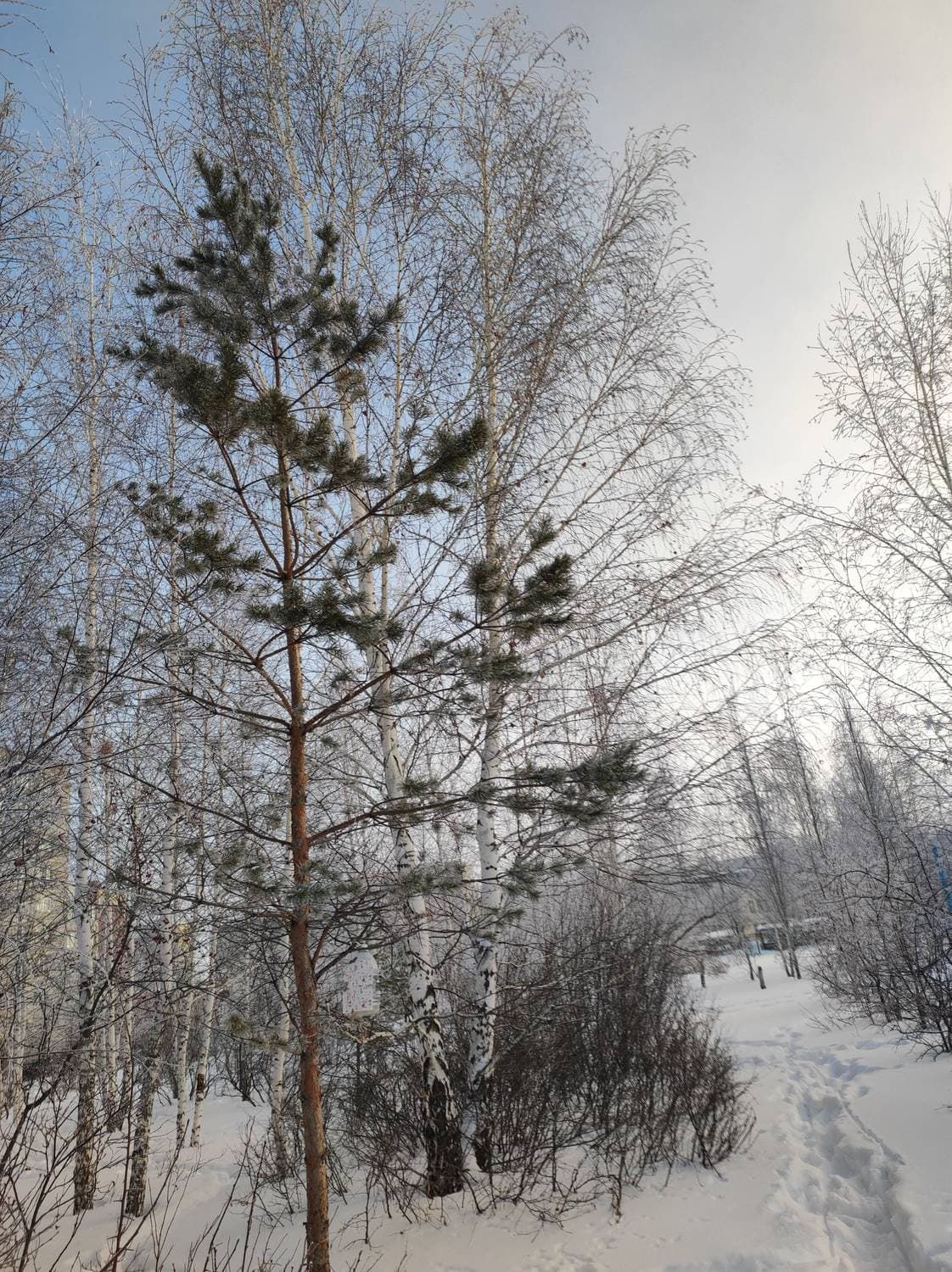добрый день