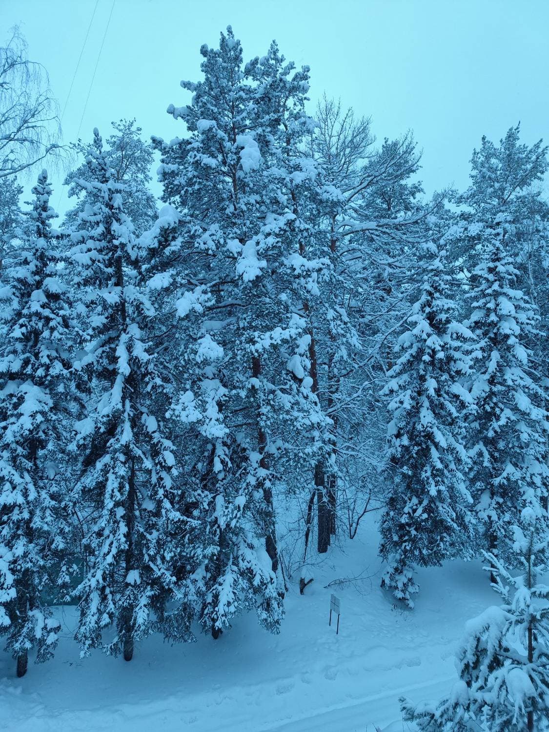 Всем доброго времени суток ☕🍕❄️
У нас снежное и морозное утро (-13) 
снег хрустит, ветер дует, зима.
Но птички уже поют😌😊 и день прибавился, уже в 7 утра светло вполне ( последнее фото) 
Скоро весна 🌱🙂