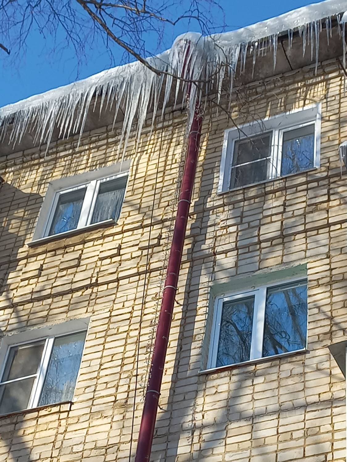 к весне ближе...