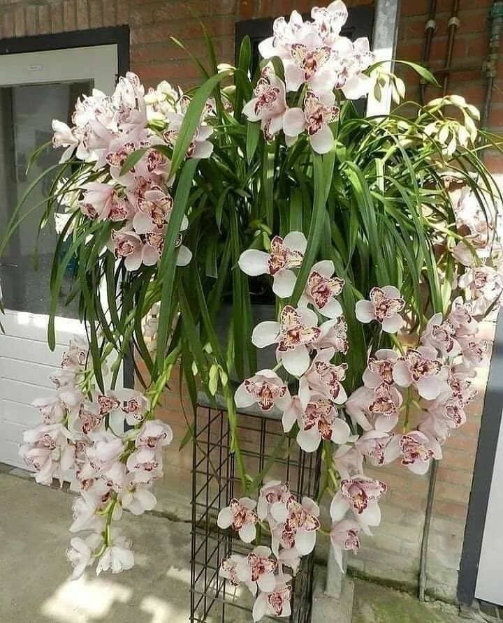💐
