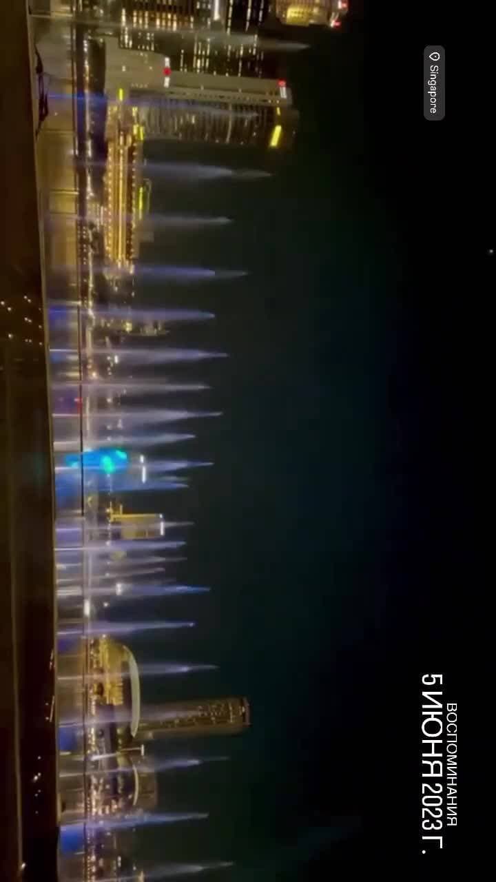 🇸🇬